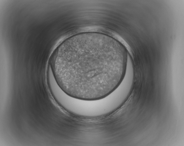 X0000108480994200905011158