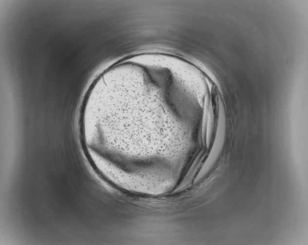X0000108480995200905011158
