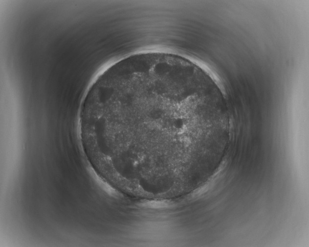 X0000108480998200905011158