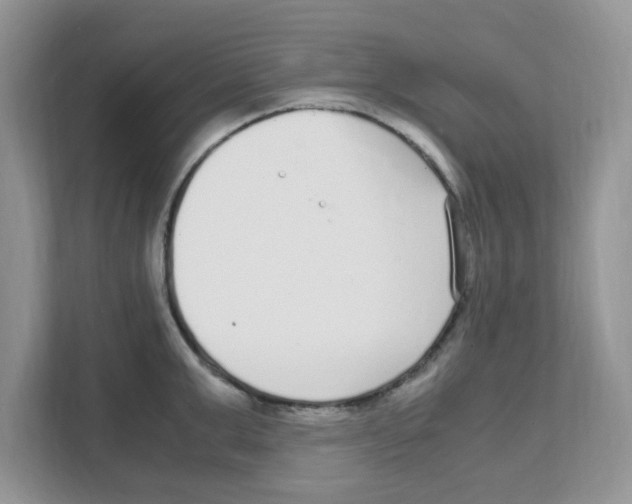X0000108480999200905011158