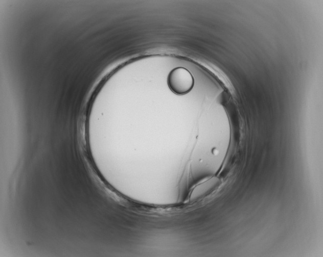 X0000108481000200905011158