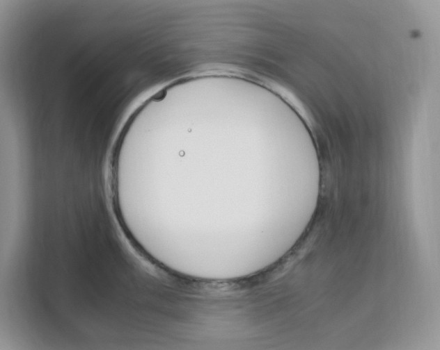X0000108481003200905011158