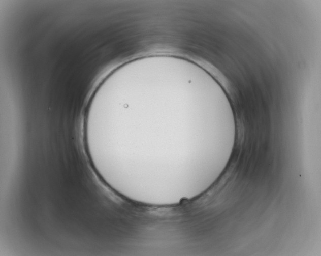 X0000108481006200905011158