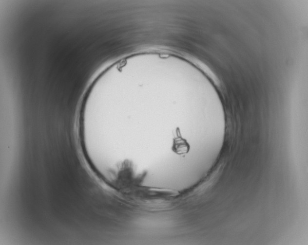 X0000108481007200905011158