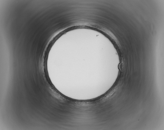 X0000108481020200905011157