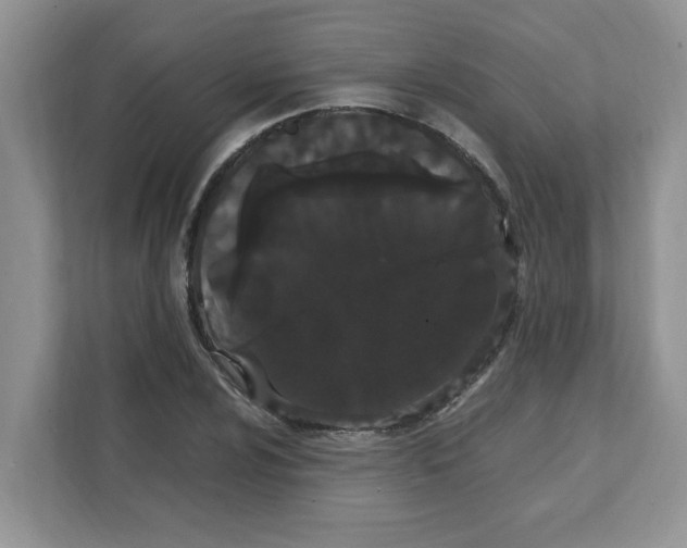 X0000108481024200905011157