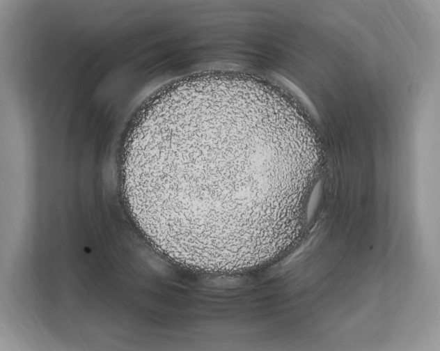 X0000108481027200905011157