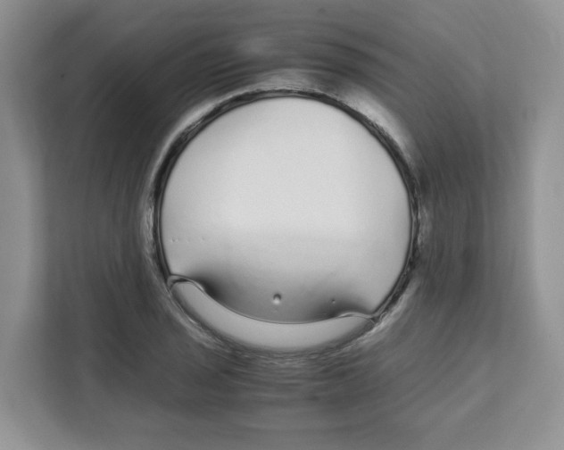 X0000108481029200905011157
