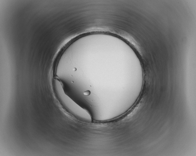 X0000108481030200905011157