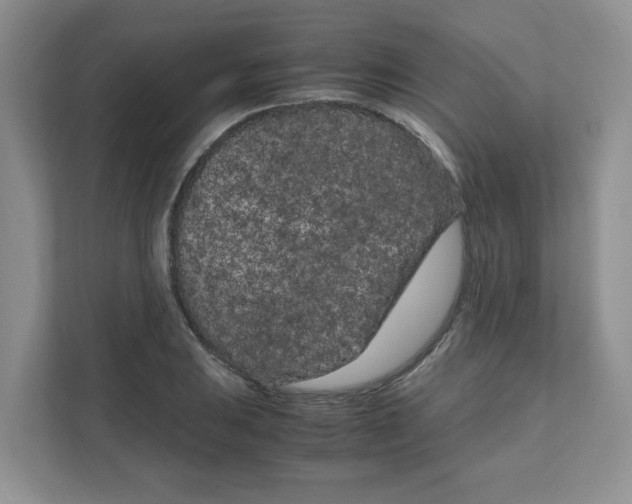 X0000108481031200905011157