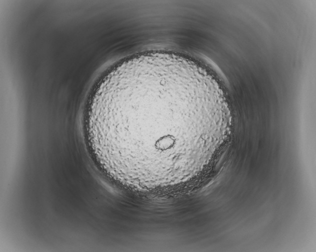 X0000108481035200905011157