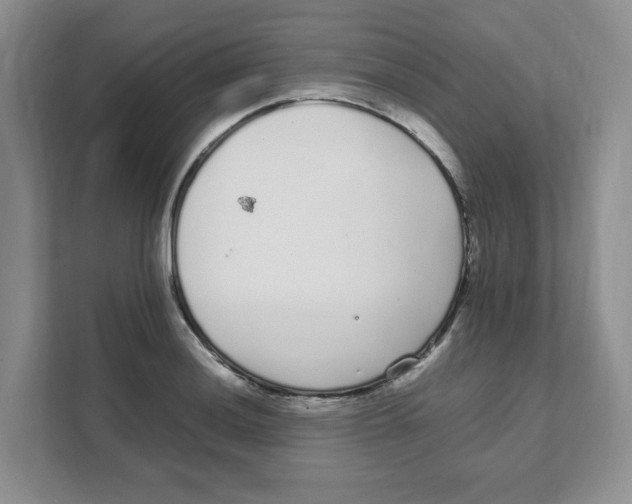 X0000108481036200905011157