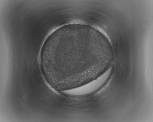 X0000108481037200905011157