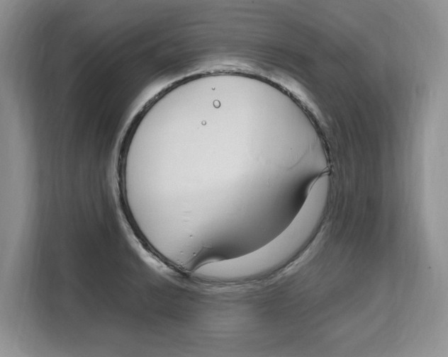 X0000108481038200905011157