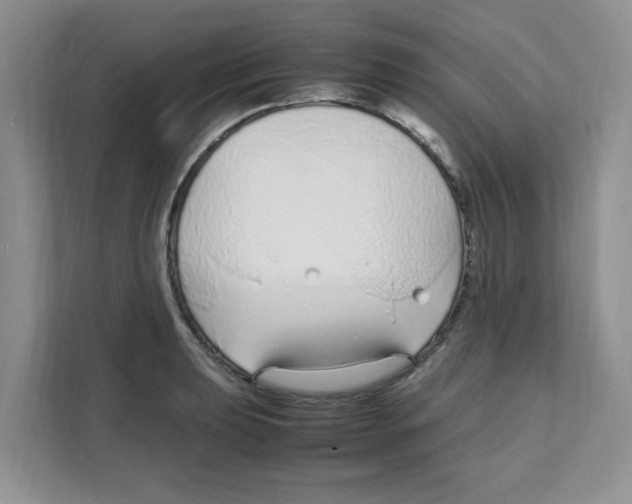 X0000108481039200905011157