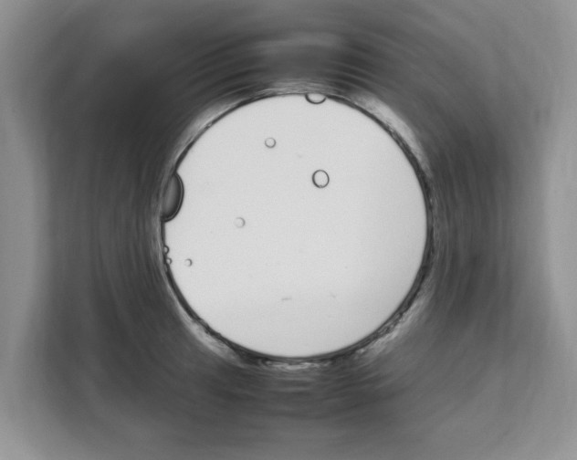 X0000108481041200905011157