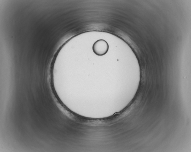 X0000108481042200905011157