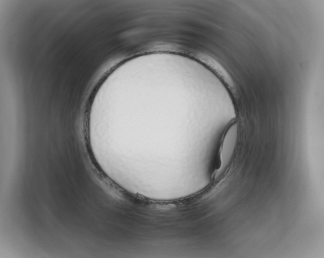 X0000108481043200905011157