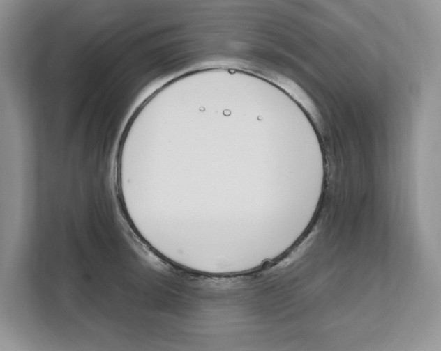 X0000108481044200905011157