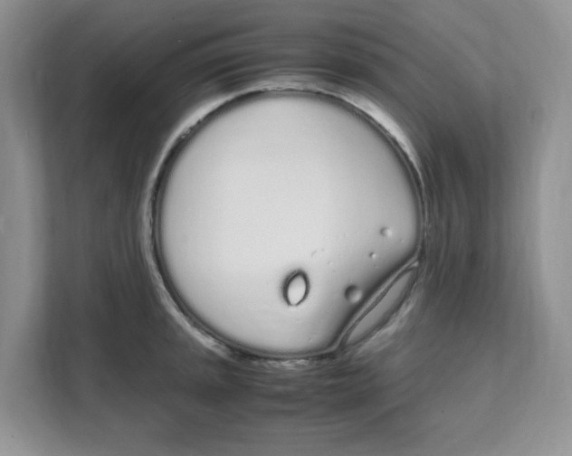 X0000108481045200905011158