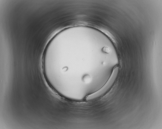 X0000108481047200905011158
