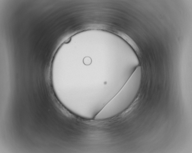 X0000108481052200905011158
