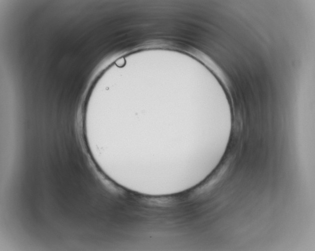 X0000108481053200905011158