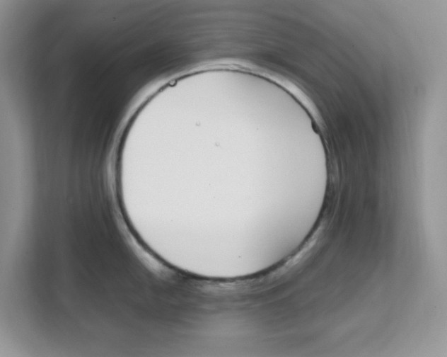 X0000108481054200905011158