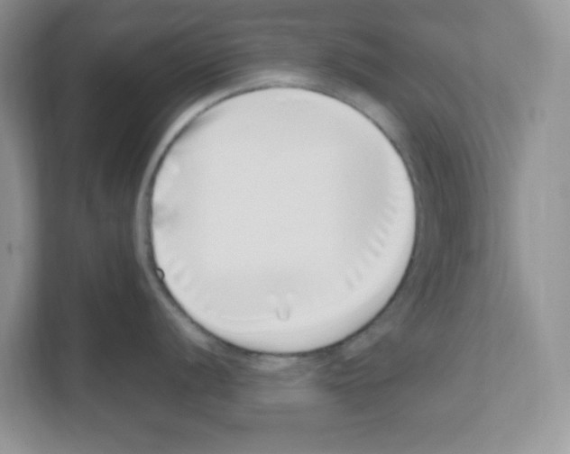 X0000108481056200905011158