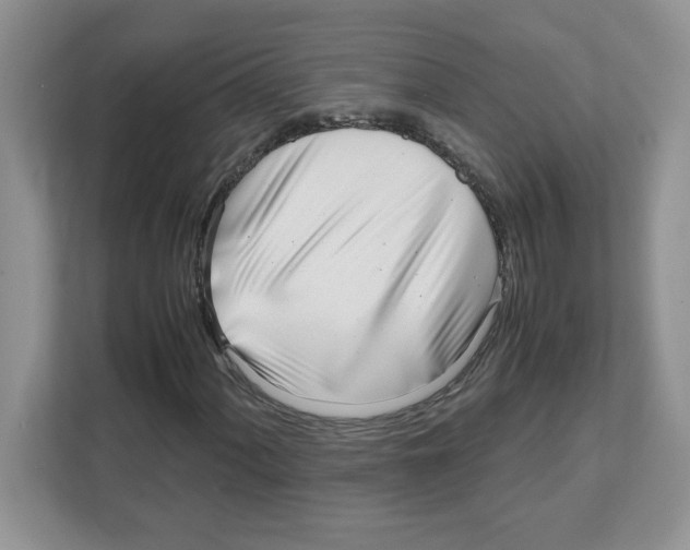 X0000108481060200905011157