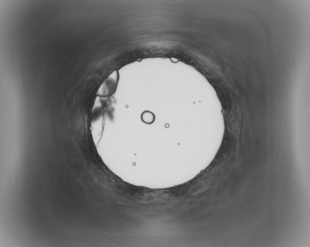 X0000108481061200905011157