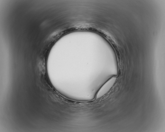 X0000108481063200905011157
