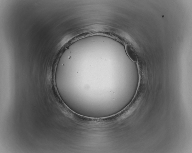 X0000108481065200905011157