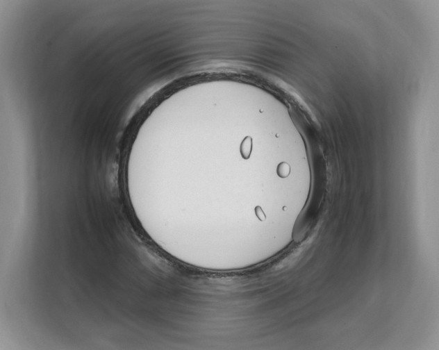 X0000108481066200905011157
