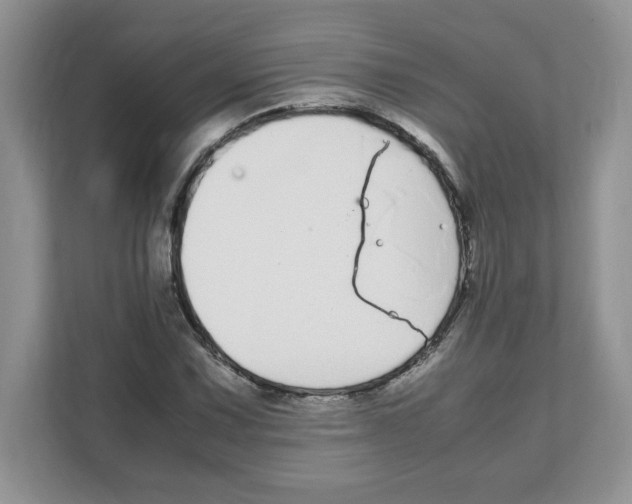X0000108481067200905011157