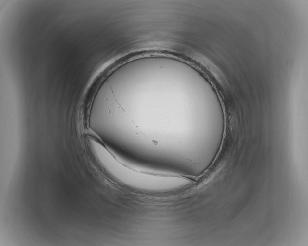 X0000108481069200905011157