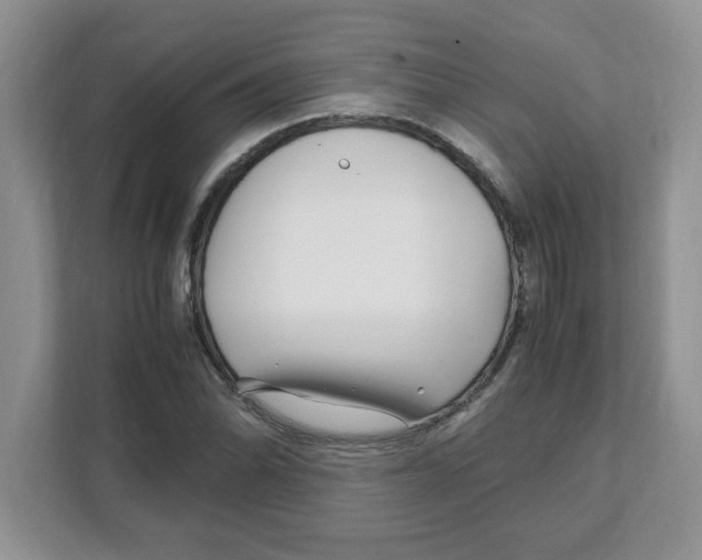 X0000108481070200905011157