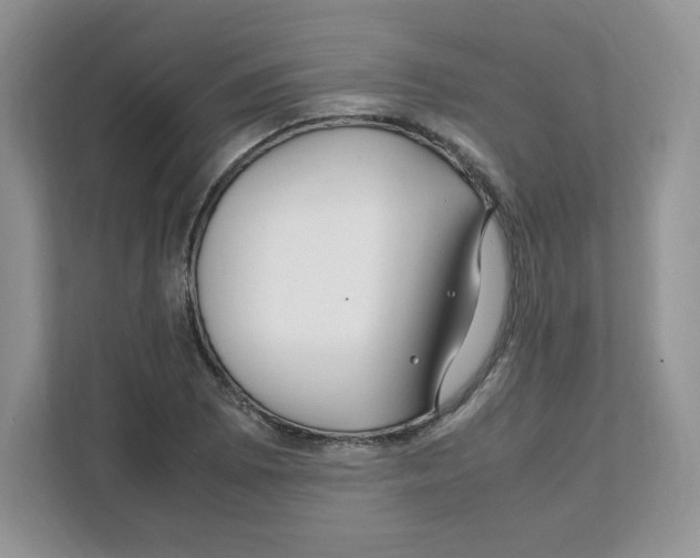 X0000108481073200905011157