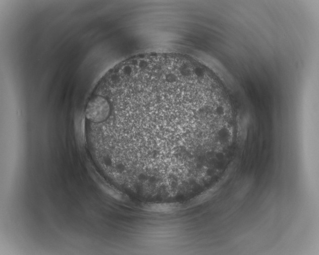 X0000108481078200905011157