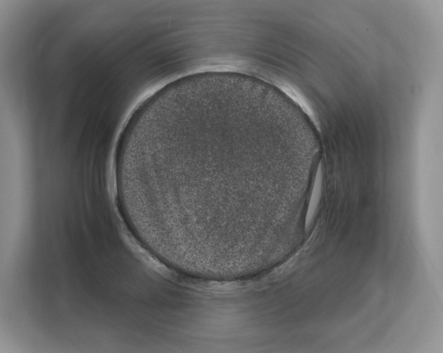 X0000108481080200905011157