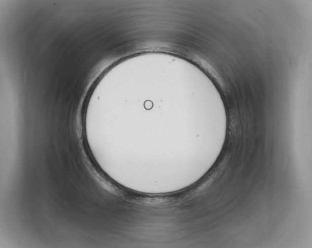 X0000108481082200905011157