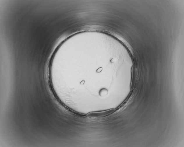 X0000108481083200905011157
