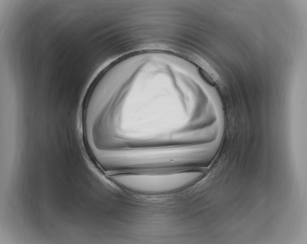 X0000108481084200905011157