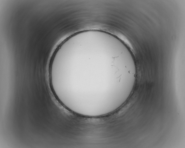 X0000108481088200905011157