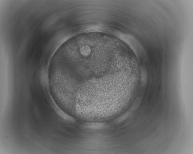 X0000108481090200905011157