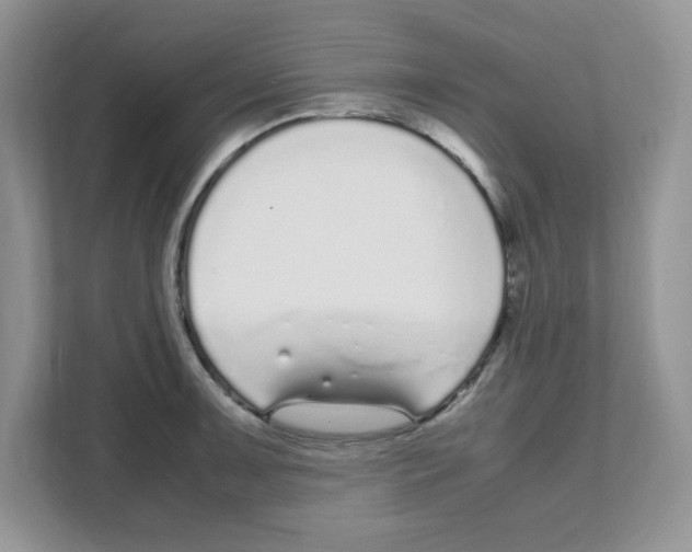 X0000108481091200905011157