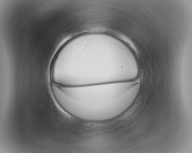 X0000108481095200905011157