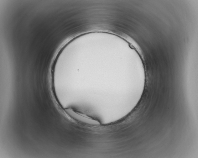 X0000108481096200905011157