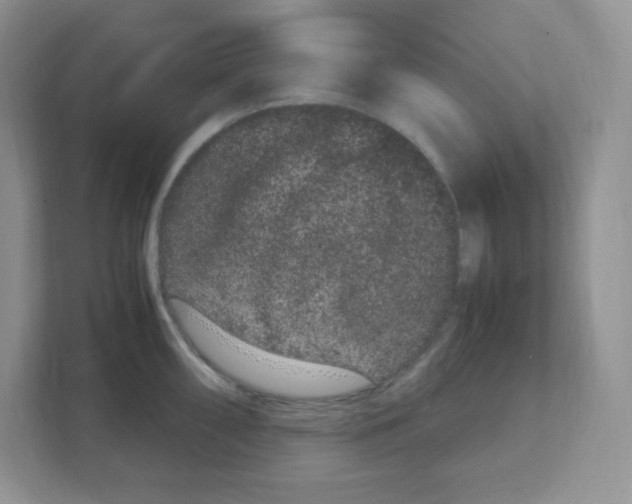 X0000108481098200905011156