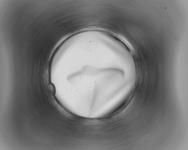 X0000108481100200905011156